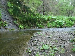 CIMG0745.jpg