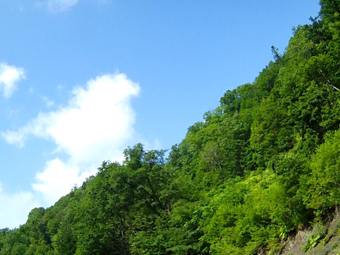 F3359661-3A89-45CB-ABBE-442CB6C4B298.png